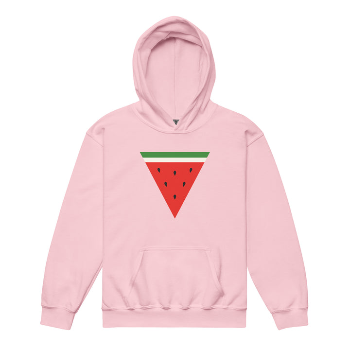 Triangle Watermelon - Youth Heavy Blend Hoodie, Light Pink