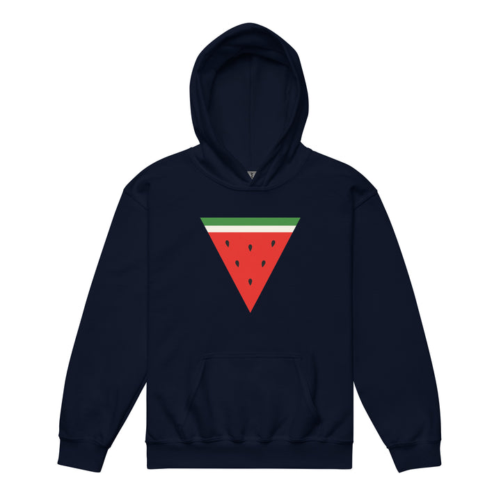 Triangle Watermelon - Youth Heavy Blend Hoodie, Navy