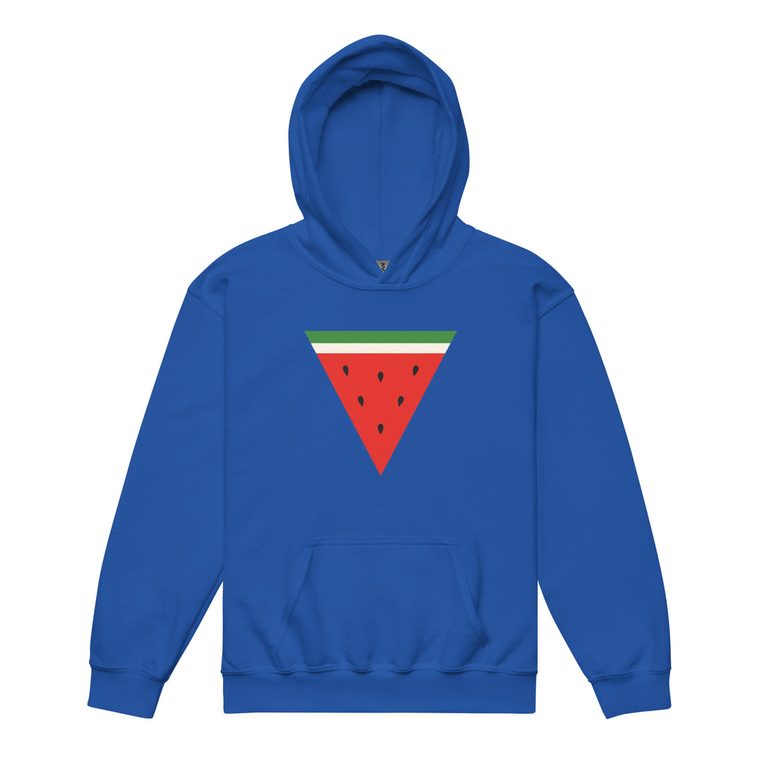 Triangle Watermelon - Youth Heavy Blend Hoodie, Royal