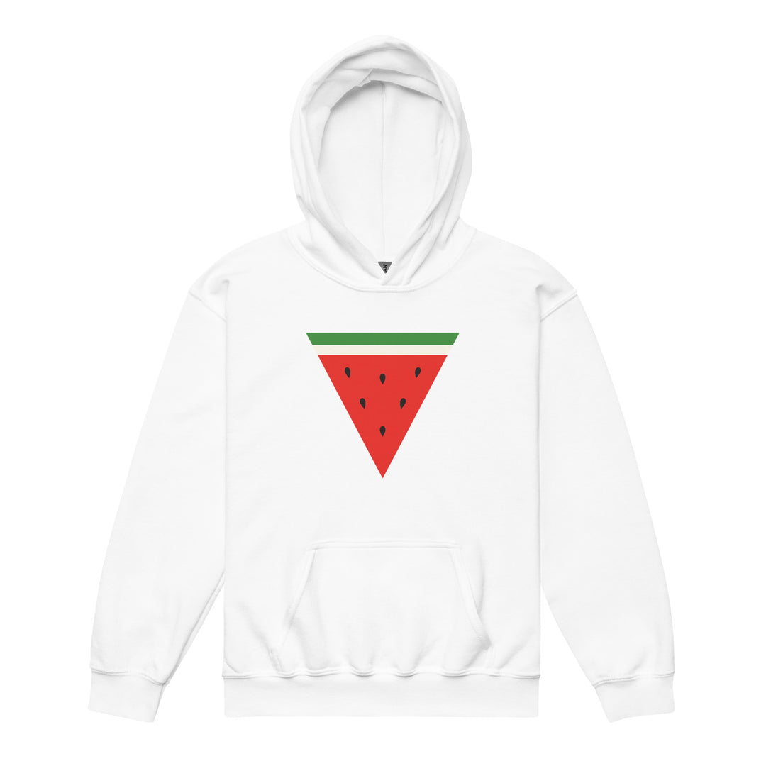 Triangle Watermelon - Youth Heavy Blend Hoodie, White