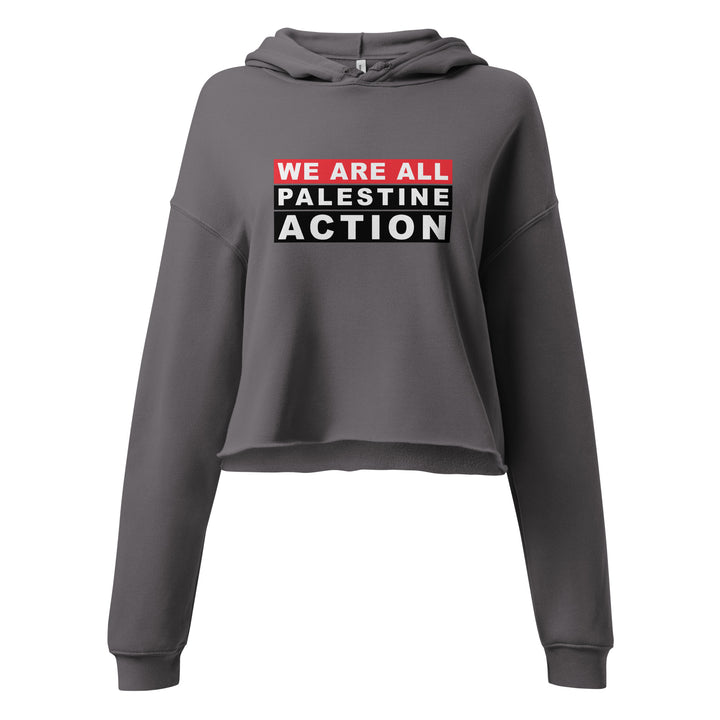 We Are All Palestine Action - Crop Hoodie, Womens Cropped Hoodie Storm