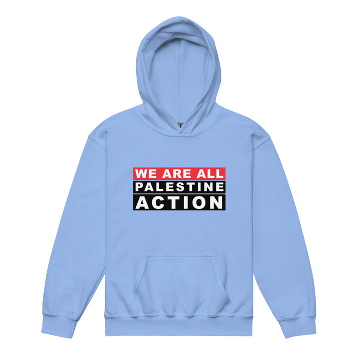 We Are All Palestine Action - Youth Heavy Blend Hoodie, Carolina Blue