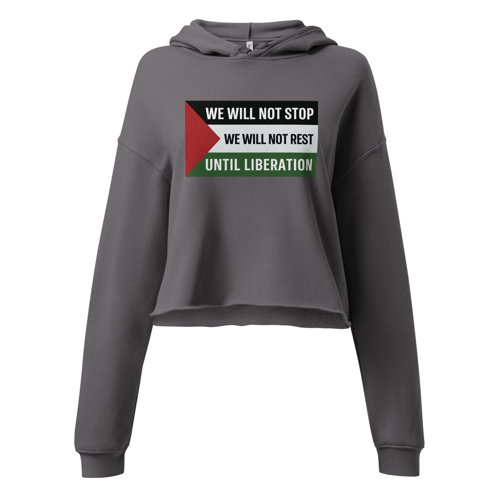 We Will Not Stop - Crop Hoodie, Womens Cropped Hoodie Storm