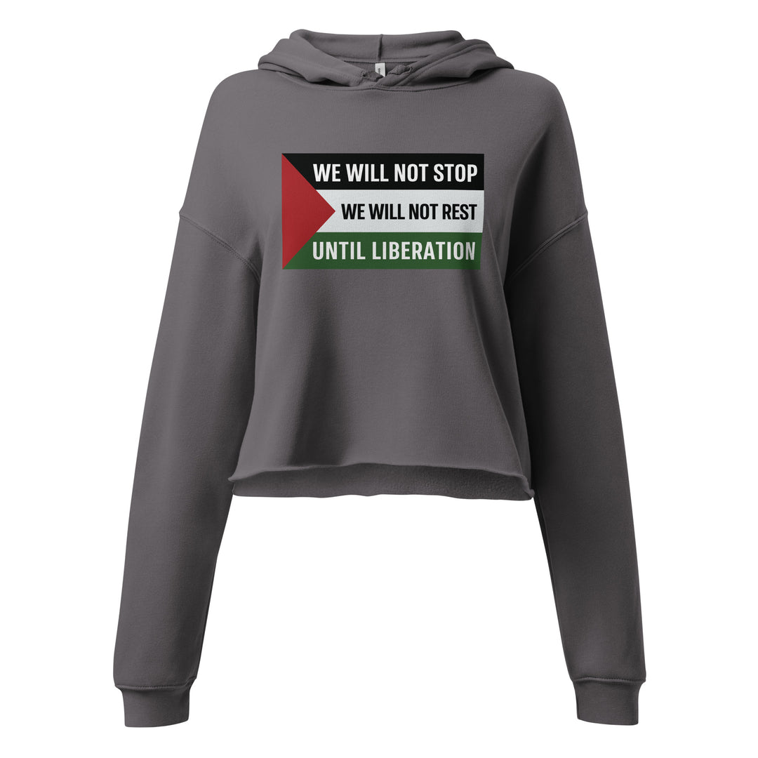 We Will Not Stop - Crop Hoodie, Womens Cropped Hoodie Storm