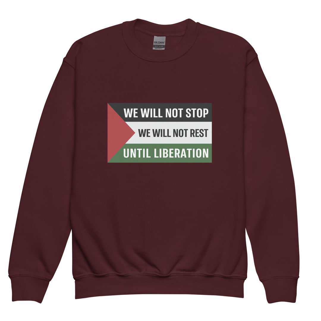We Will Not Stop - Youth Crewneck Sweatshirt, Maroon
