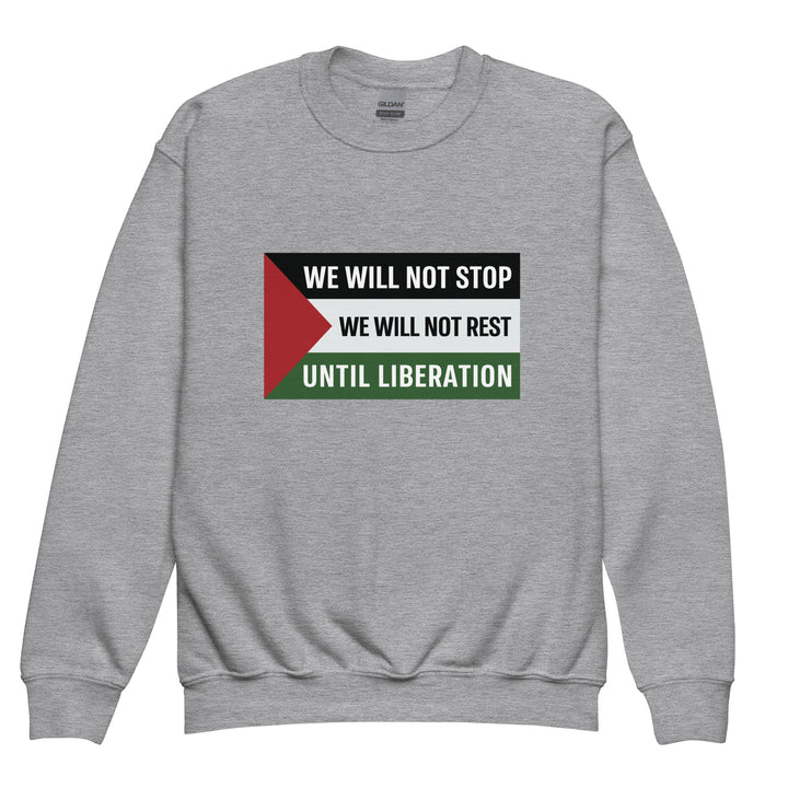 We Will Not Stop - Youth Crewneck Sweatshirt, Sport Grey