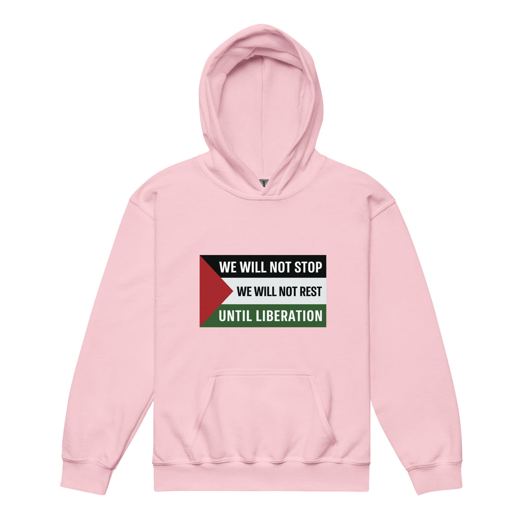 We Will Not Stop - Youth Heavy Blend Hoodie, Light Pink