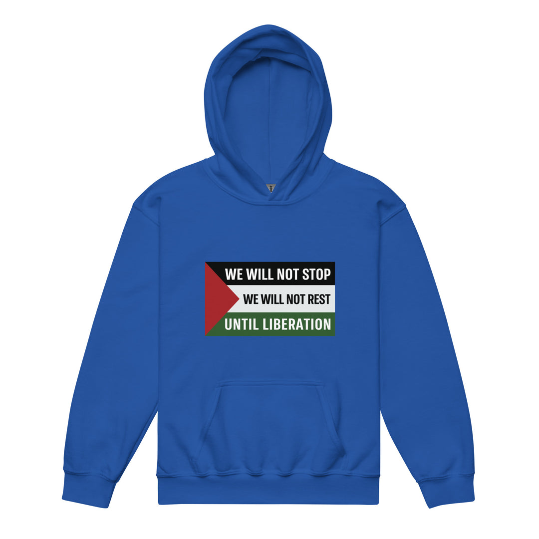 We Will Not Stop - Youth Heavy Blend Hoodie, Royal